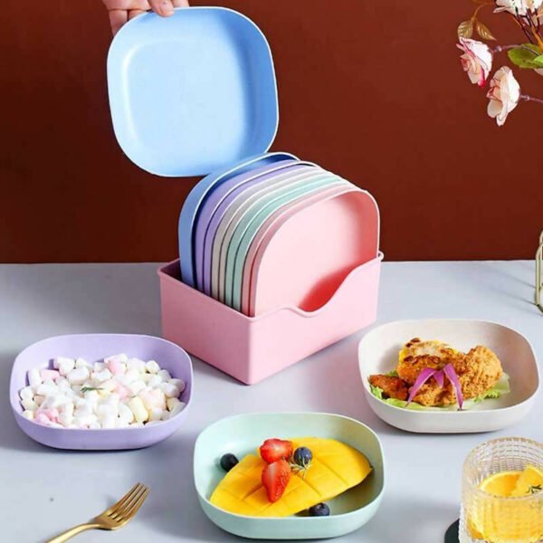 Plastic Plates With Stand Set Of 10, for Indoor & Outdoor Use